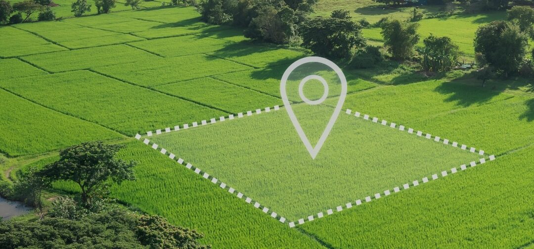 Short-Term Bridging Loans vs. Property Development Loans: Which One Do You Need?